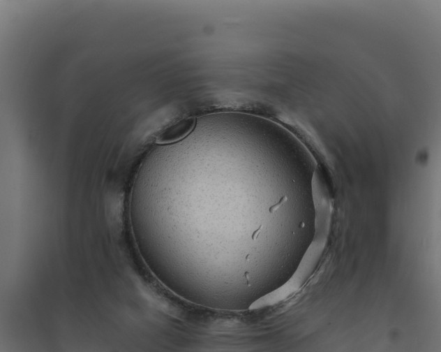 X0000094780066200711241348