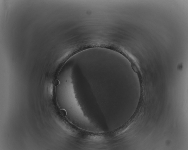 X0000094780067200711241348
