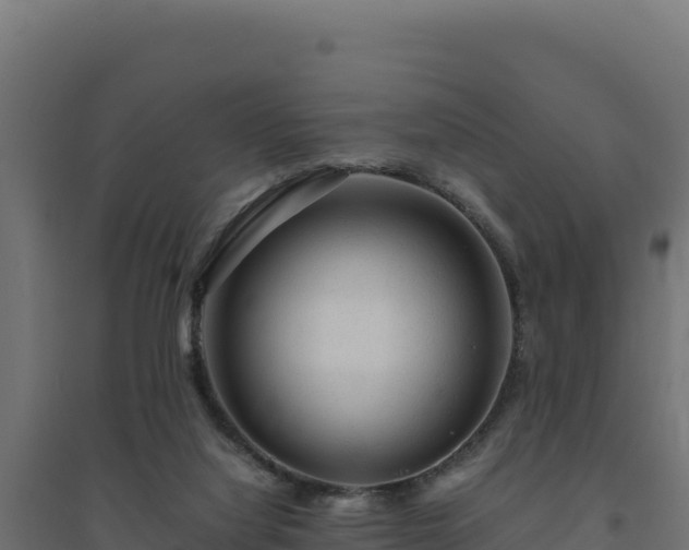 X0000094780068200711241348