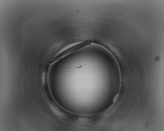 X0000094780070200711241348