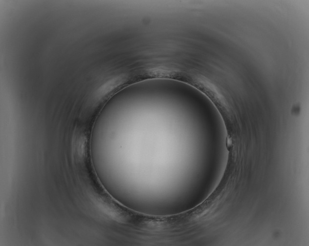 X0000094780071200711241348