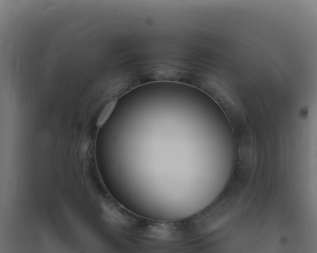 X0000094780079200711241348