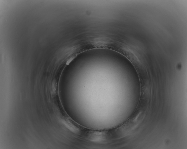 X0000094780081200711241348