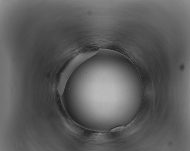 X0000094780082200711241348