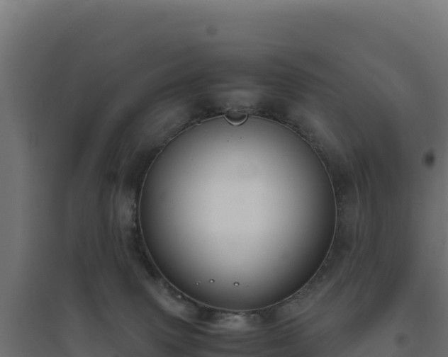 X0000094780083200711241348