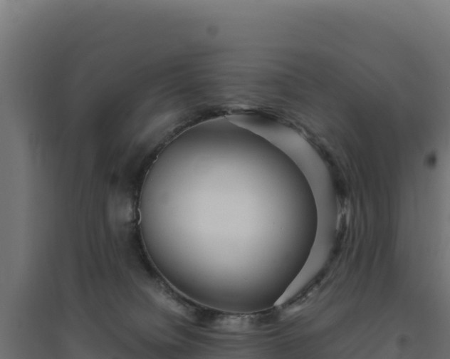 X0000094780084200711241348