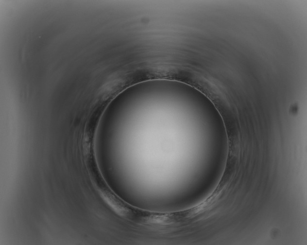X0000094780086200711241348