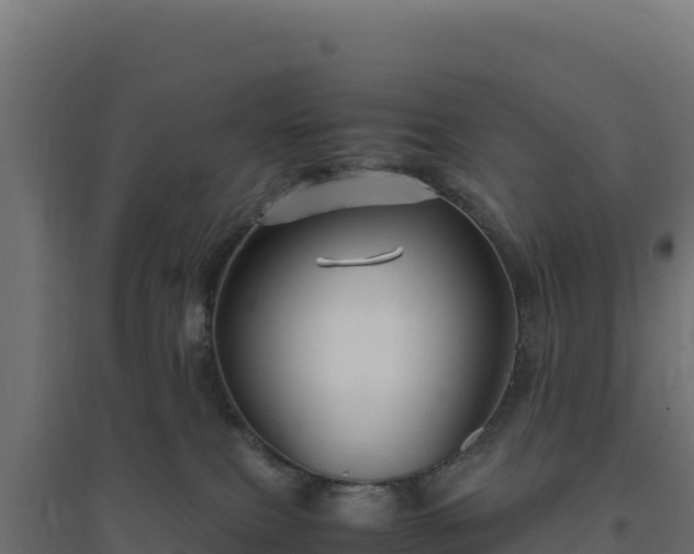 X0000094780087200711241348