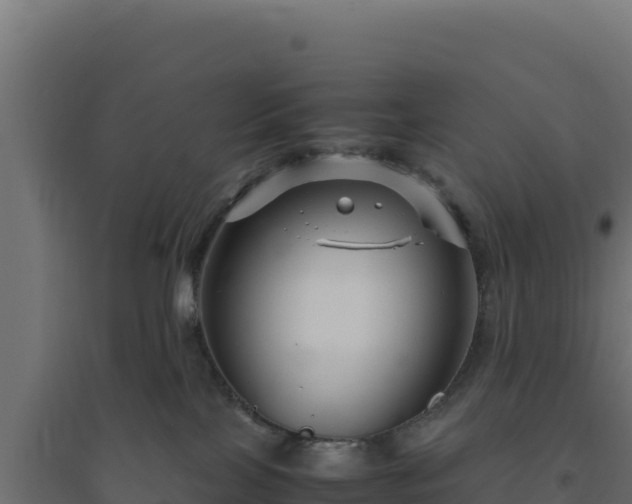 X0000094780089200711241348