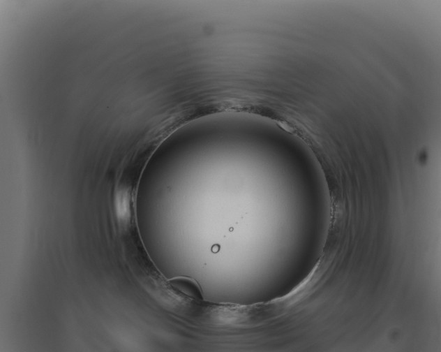X0000094780094200711241349