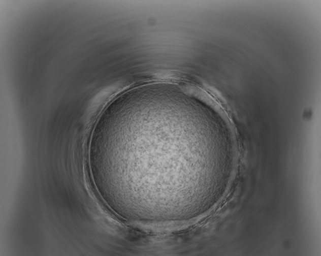 X0000094780097200711241348