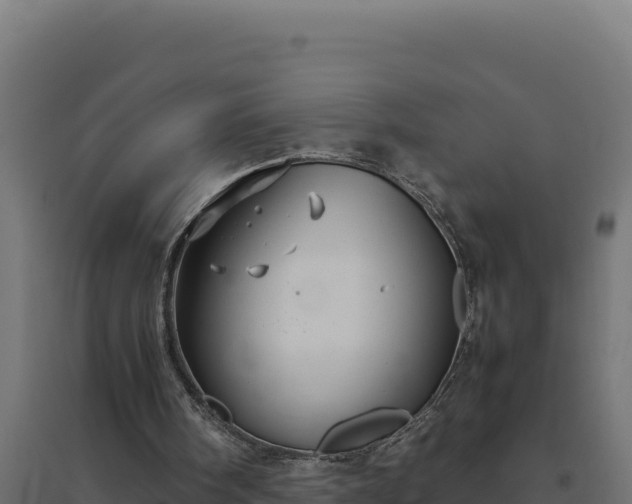 X0000094780098200711241348