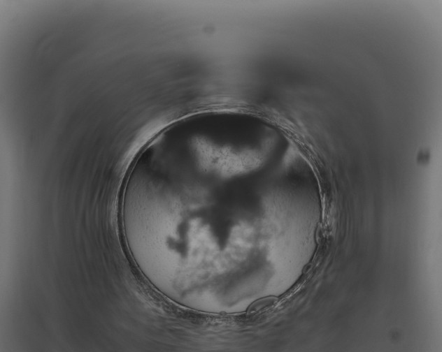 X0000094780099200711241348