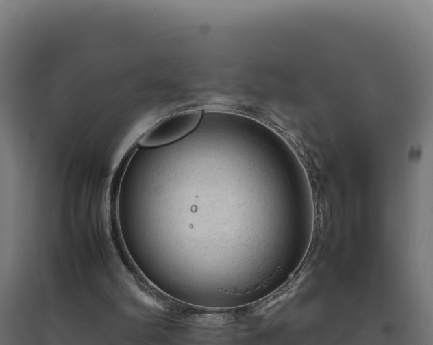 X0000094780102200711241348