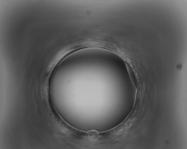 X0000094780103200711241348