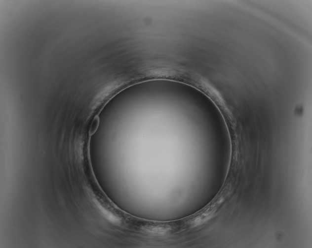 X0000094780106200711241348