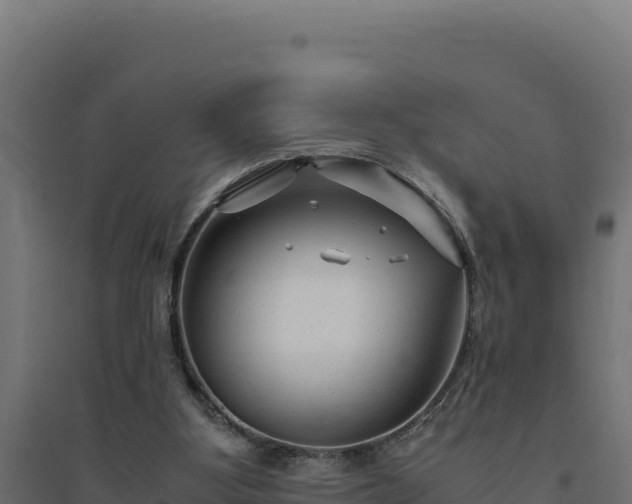 X0000094780107200711241348