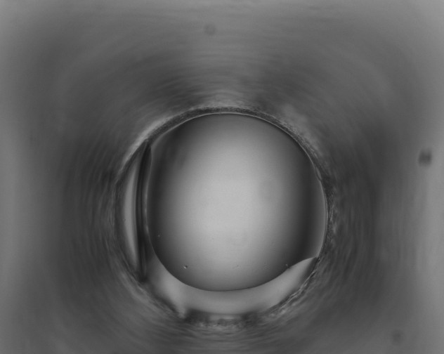 X0000094780108200711241348