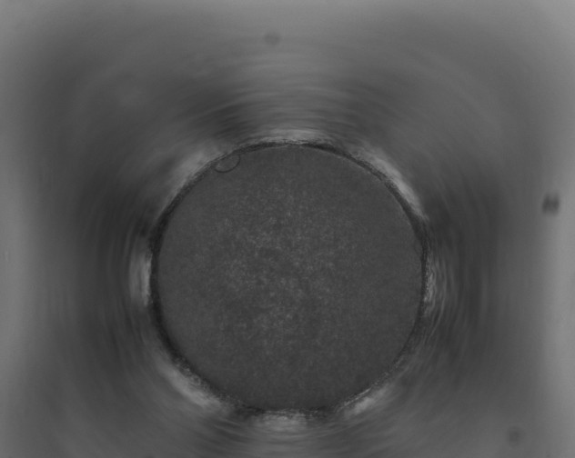 X0000094780110200711241348