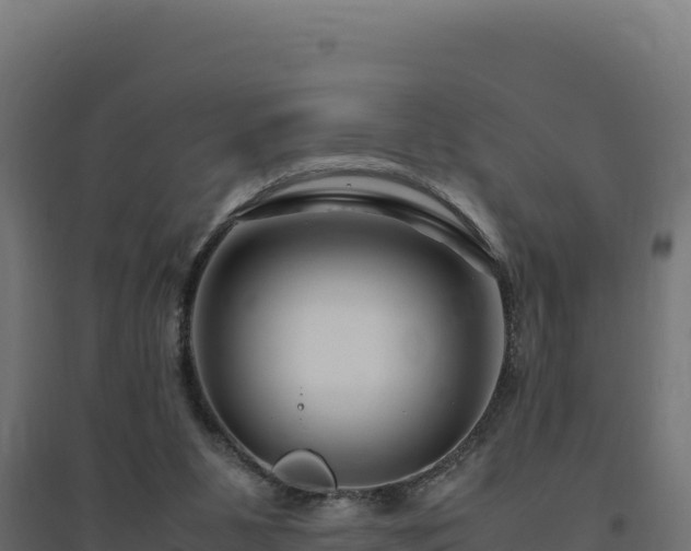 X0000094780111200711241348