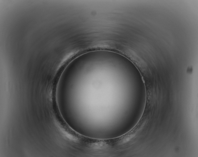 X0000094780112200711241348