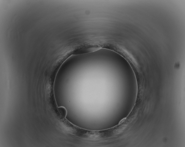 X0000094780113200711241348