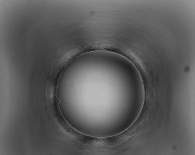 X0000094780115200711241348