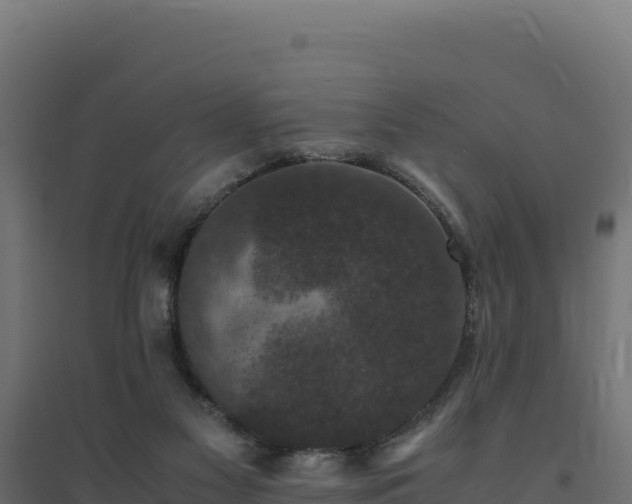 X0000094780117200711241347