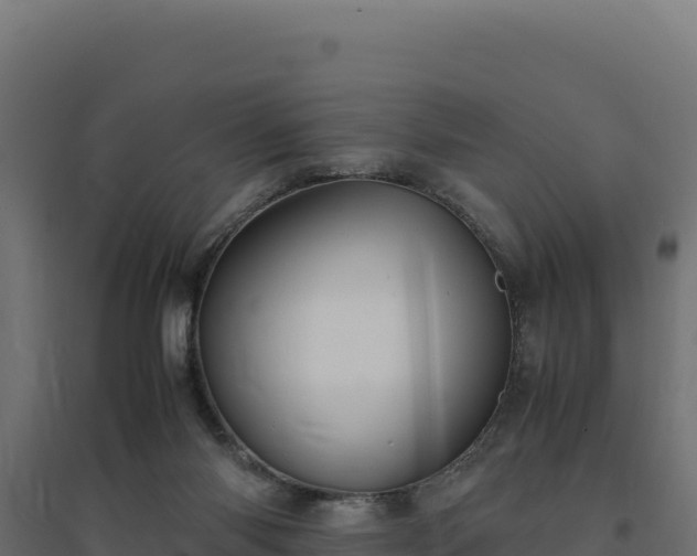 X0000094780118200711241347