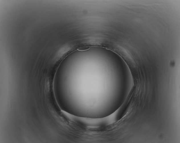 X0000094780120200711241347