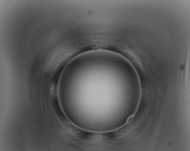 X0000094780123200711241347