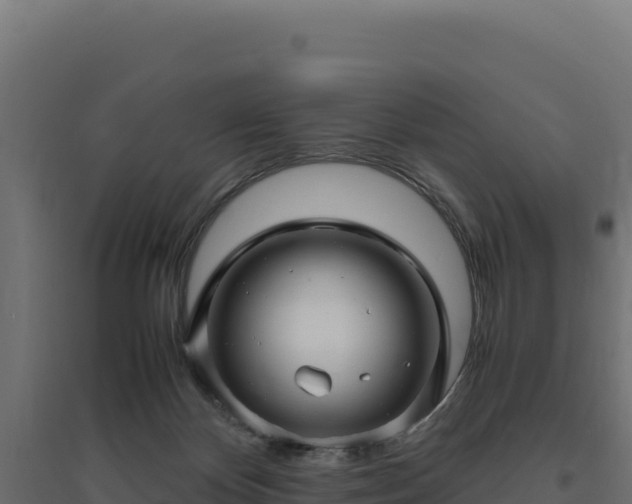 X0000094780124200711241347