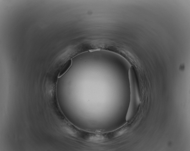 X0000094780125200711241347
