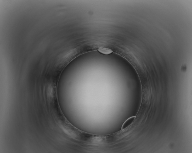 X0000094780126200711241347