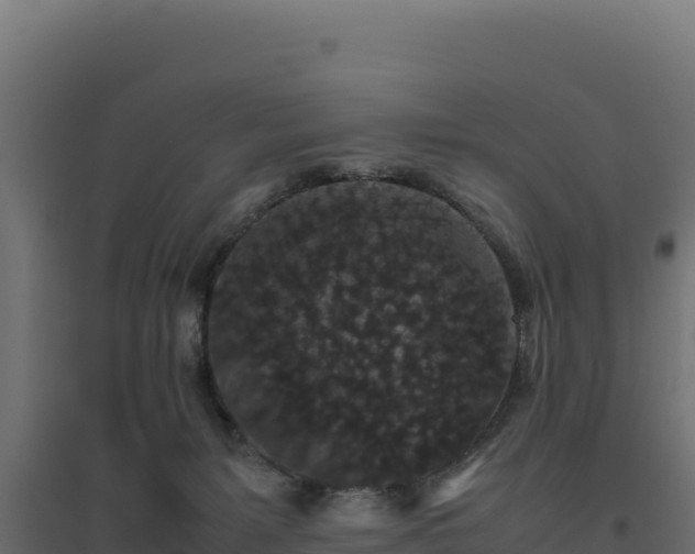 X0000094780127200711241347