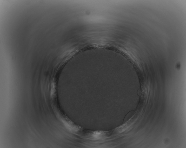 X0000094780130200711241347