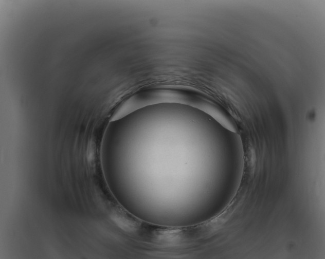 X0000094780132200711241347