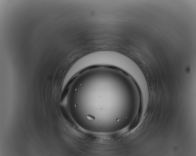 X0000094780136200711241347