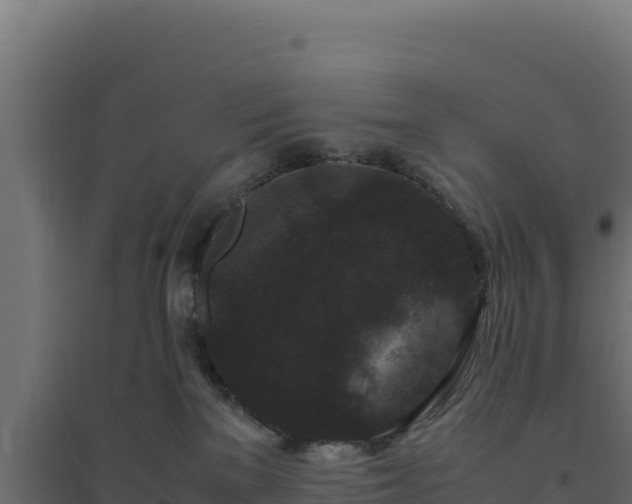 X0000094780137200711241347