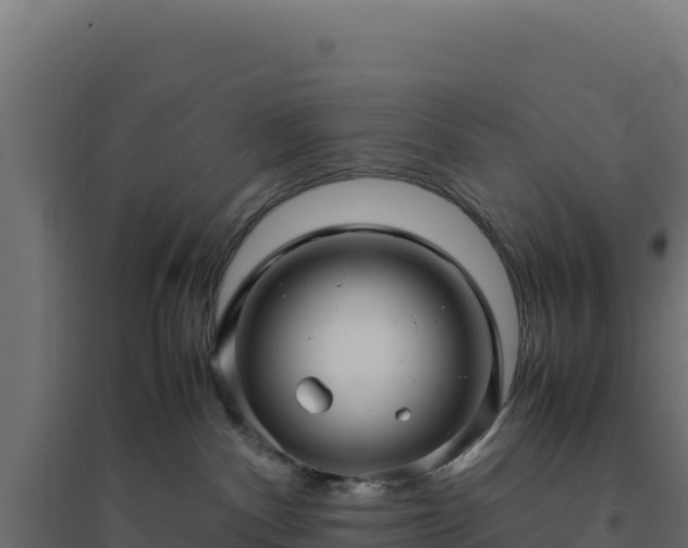X0000094780140200711241347
