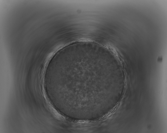 X0000094780145200711241346