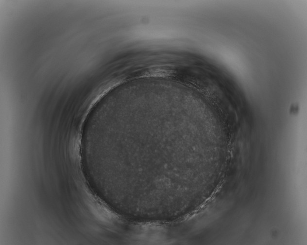X0000094780146200711241346