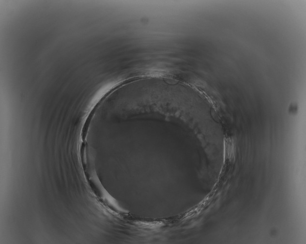 X0000094780147200711241346