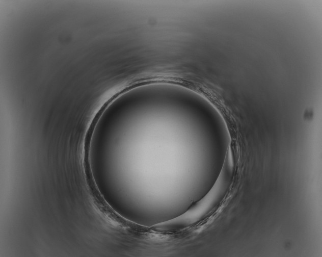 X0000094780148200711241346