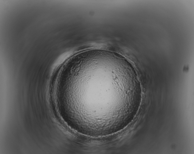 X0000094780149200711241346
