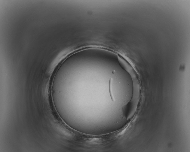 X0000094780151200711241347