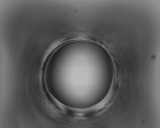 X0000094780152200711241347