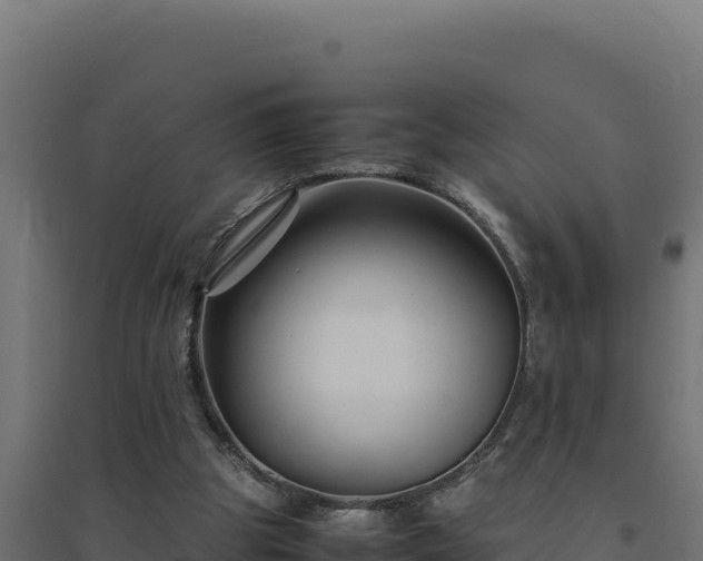 X0000094780153200711241347