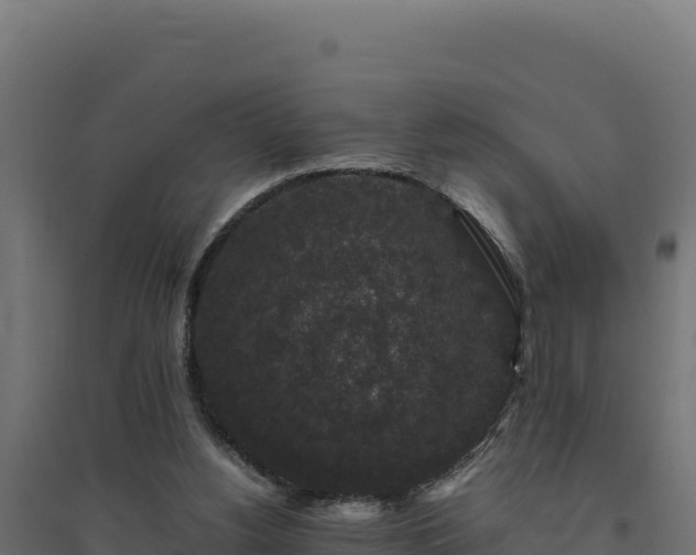 X0000094780156200711241347