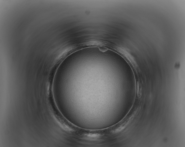 X0000094780157200711241347